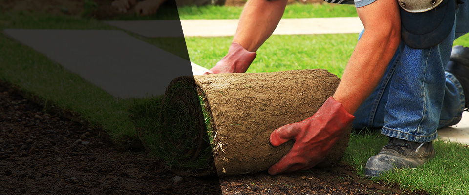 Port Gibson Landscapers